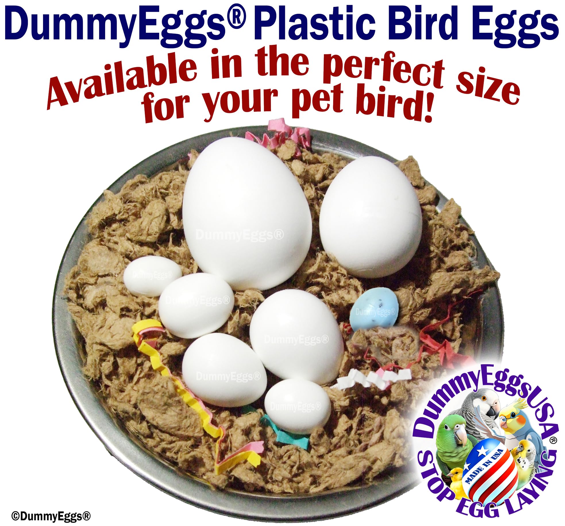 Dummy Cockatiel Eggs Stop Brooding Laying! 7 Plastic Solid Fake Dummy Bird Eggs: Dove, Quaker Parrot, Green Cheek De Brand Usa